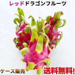 日出農園 火龍果(紅心) 20個 レッドドラゴンフルーツ dragon fruit 火龙果 整箱 ケース販売 果物 フルーツ 冷凍商品と同梱不可 ベトナム産 10kg