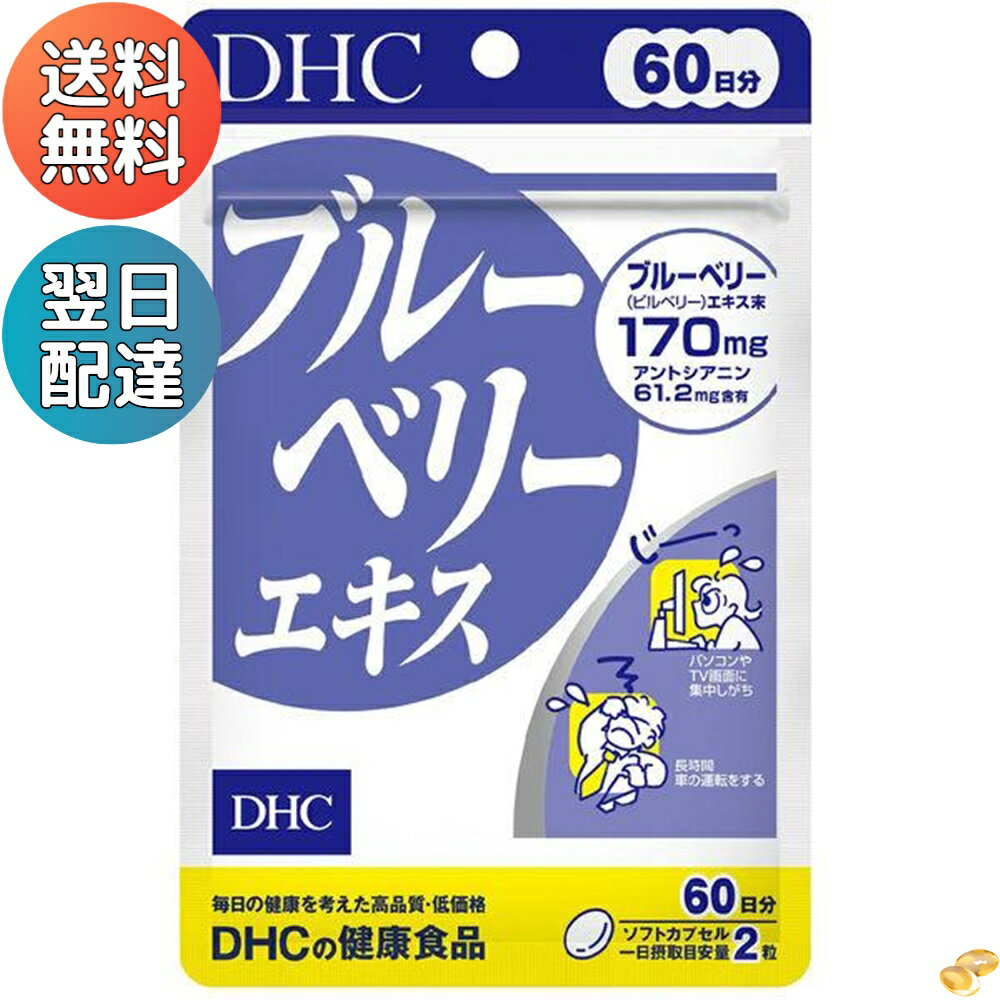 DHCブルーベリーエキス60日分120粒サプリメント食事健康健康食品パソコン長時間車の運転画面目眼眼