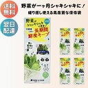 【野菜保存袋】鮮度保持袋 ママラクリーン 鮮度キーパー (Mサイズ:10枚入)4点セット 葉物野菜 野菜 果物 きのこ 食品 保存袋 フリーザーバッグ 長期間 ...