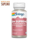 【全品P10倍★15日12:00-23:59】DIM スプリーム(ジインドリルメタン配合)DIM SupremeSolaray