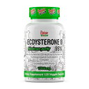 楽天サプリンクス楽天市場店エクジステロンβ 95％ 1000mg 120粒l ECDYSTERONE β 95％ 1000mg Psycho Pharma サイコファーマ 健康 運動 フィットネス トレーニング エネルギーサポート アメリカ カプセル サプリメント 健康サプリ サプリ