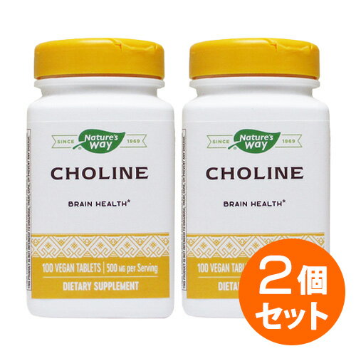 【2個セット】コリン 500mg 100粒 サプリメント 健康サプリ サプリ ビタミン ビタミンB群 栄養補助 栄養補助食品 アメリカ 国外 タブレット サプリンクス 通販 楽天