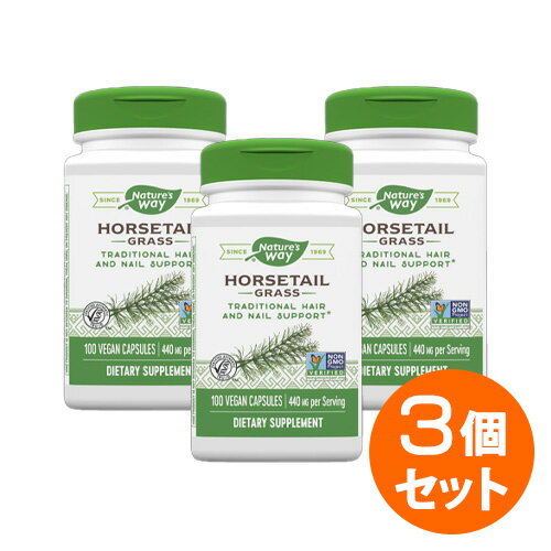 【3個セット】ホーステール 440mg 100粒 サプリメント 健康サプリ サプリ 植物 ハーブ 栄養補助 栄養補助食品 アメリ…