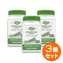 【3個セット】ホーステール 440mg 100粒 サプリメント 健康サプリ サプリ 植物 ハーブ 栄養補助 栄養補助食品 アメリカ カプセル サプリンクス 植物...