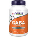 ギャバ GABA 750mg 100粒（ベジタリアンカプセル） サプリメント 健康サプリ サプリ ギャバ now ナウ 栄養補助 栄養補助食品 アメリカ カプセル