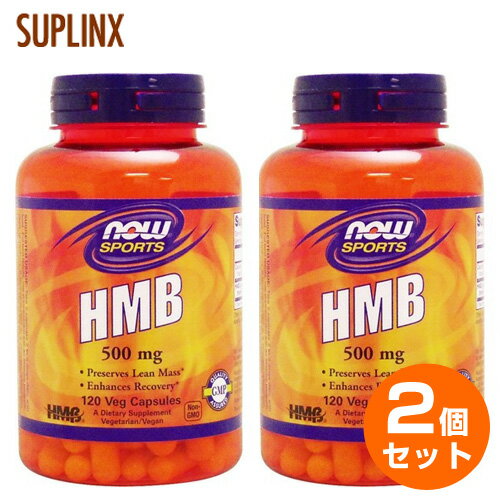 【送料無料】【2個セット】HMB 500mg 120粒071-02054 ロコモ アミノ酸のサムネイル