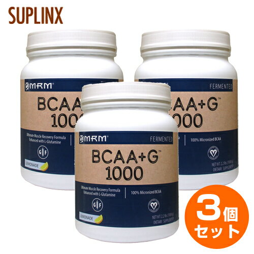 【3個セット】【送料無料】［ 大容量1kg ］ BCAA（分岐鎖アミノ酸）+Lグルタミン ※レモネード　1000g（049-71027）