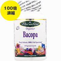 バコパ（100倍濃縮） 60粒 サプリメント 健康サプリ サプリ 植物 ハーブ サポニン 栄養補助 栄養補助食品 アメリカ ベジタリアンカプセル サプリンクス 植物性エキス