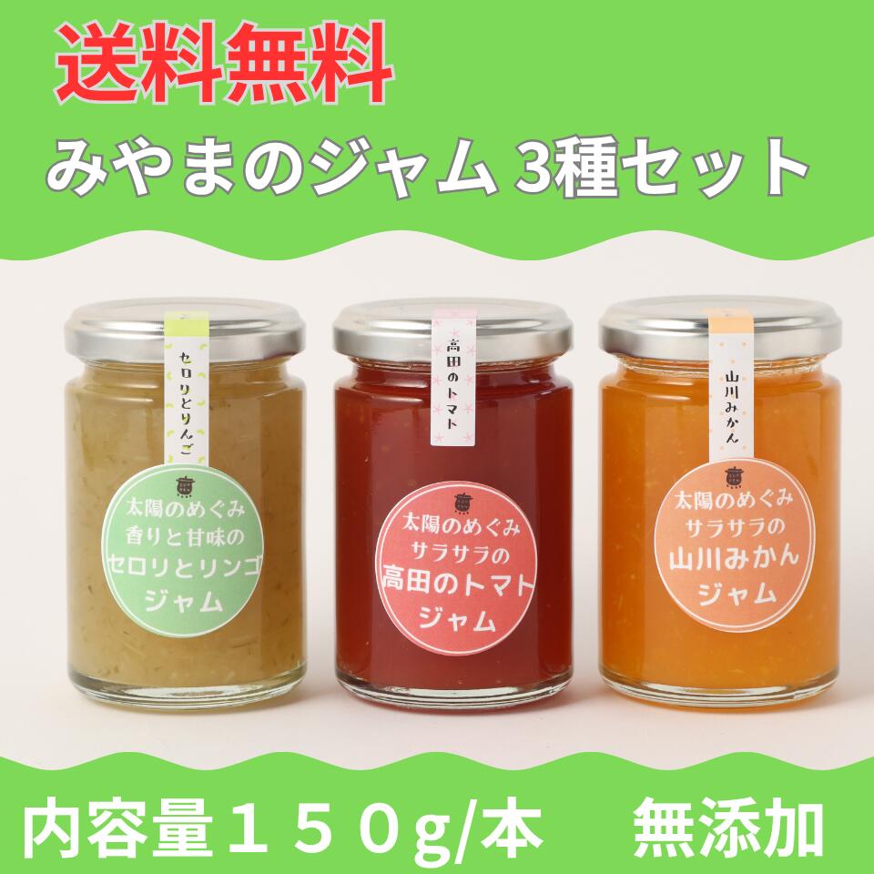 楽天市場】手作り ジャム 販売の通販