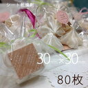 【送料無料】シート乾燥剤×80枚30×30/業務用乾燥剤(薄型)