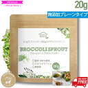 国産 ブロッコリースプラウトパウダー 20g(50回分)150日 無添加100%パウダー 完全無農薬 医師が選ぶ最強食材 スルフォラファン 送料無料 エイジングケア ブロッコリー スーパー スプラウト サプリ 粉末 ブロッコリー