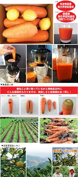 初回限定(お試しセット)無農薬人参3kg+低農薬国産レモン3個