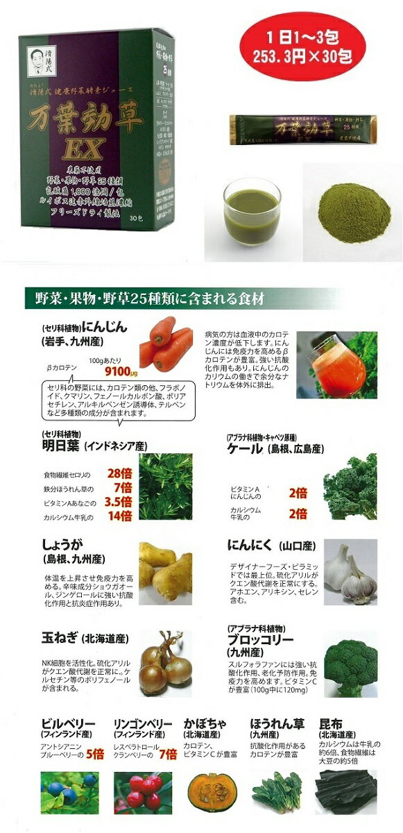 済陽式 健康野菜酵素ジュース　万葉効草EX 2