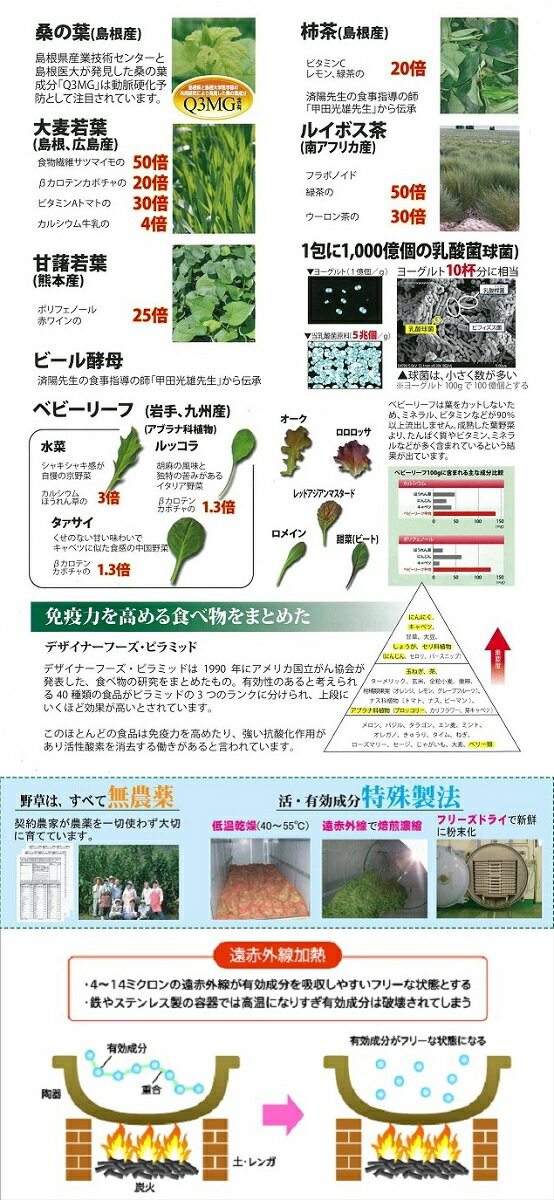 済陽式 健康野菜酵素ジュース　万葉効草EX 3