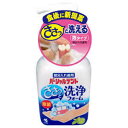 小林製薬 パーシャルデント洗浄フォーム 250ml