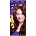 【医薬部外品】プロクター・アンド・ギャンブル・ジャパン株式会社(P&G) WELLATON 2+1(ウエラトーン ツープラスワン) クリームタイプ 5G(自然な暖かみのある栗色) 1セット