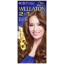 【医薬部外品】プロクター・アンド・ギャンブル・ジャパン株式会社(P&G) WELLATON 2+1(ウエラトーン ツープラスワン) 液状(ジェル)タイプ 8CB(より明るい透明感のある栗色) 1セット