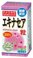 山本漢方製薬株式会社 エキナセア粒100％280粒×5個セット