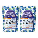 ◆ オリヒロ かんでおいしいチュアブルサプリ ブルーベリー&ルテイン 120粒 2袋セット / ブルーベリー ルテイン アイケア 疲れ目 送料無料 セール