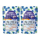 ◆【在庫処分市：賞味期限2024年6月13日まで】オリヒロ かんでおいしいチュアブルサプリ ブルーベリー＆ルテイン 120…