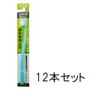 【☆】【メール便で送料無料 ※定形外発送の場合あり】大正製薬デントウェル　歯医者さん150フラットタイプかため　12本