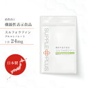アウトレット セール! 【賞味期限25年6月】 機能性表示食品 スルフォラファン 1袋 ( 60粒 : 1ヶ月分 ) 日本製 国産 ダイエット サプリ ALT値...
