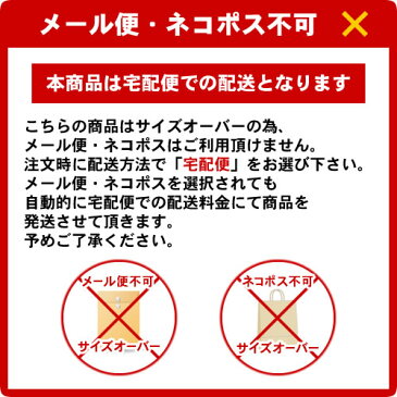 【宅配便】《2019年版》新日本カレンダー 21ジャンボサイズカレンダー＜46/2切＞ NK-8190