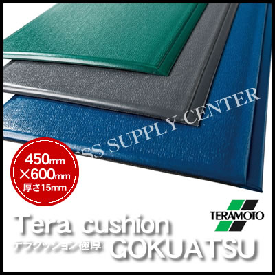 【宅配便】テラモト テラクッション 極厚＜450×600mm＞ MR-069-020【よくばり通信2018春】