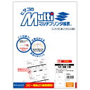 プリンター帳票 BP2002 A4 白/2面穴無100枚