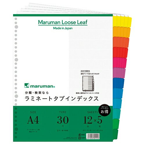 ラミネートタブインデックス12山5組