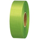 カラーリボン黄緑 24mm*25m10個 B824J-YG10