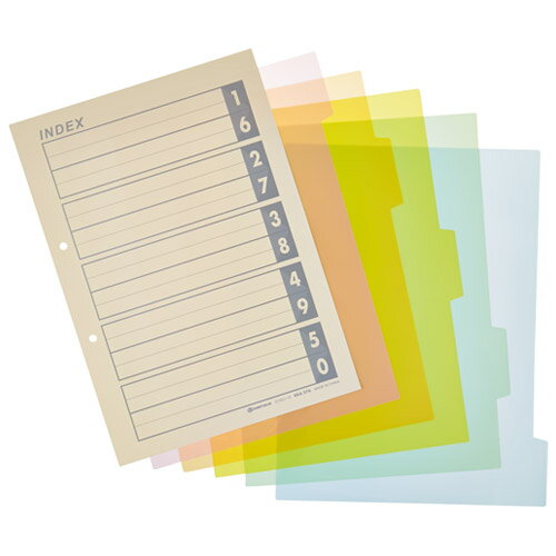 PPインデックスA4S2穴5山6枚100組D142J-100