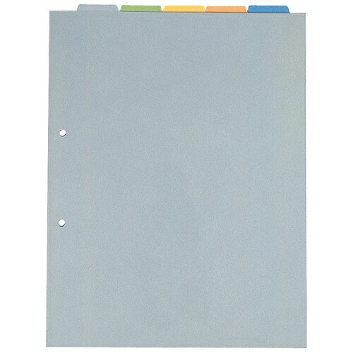 キングジム　カバー付カラーインデックス A4S 103T