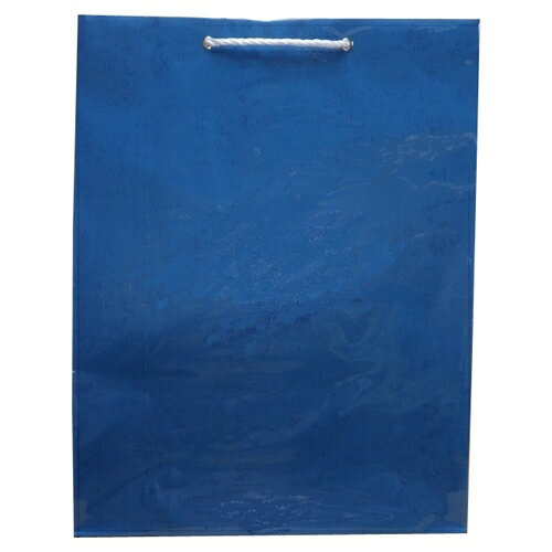 手提袋 超特大コンテナ No-190 あお