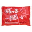 タカビシ化学 はるっ子 貼る レギュラー10枚*24パック