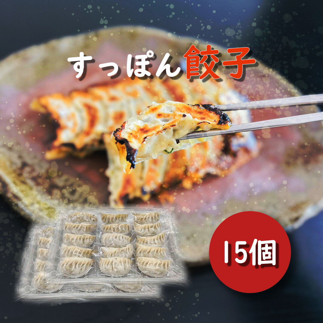 すっぽん焼き餃子 すっぽん餃子 スープ すっぽんスープ 焼き餃子 野菜たっぷり お手軽 一人暮らし 贈答品