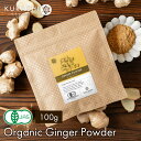 【SALE】 有機JAS ショウガパウダー 100g 生姜粉末 ジンジャー パウダー オーガニック 無添加 無着色 冷え 温活 時短 簡単 送料無料 生姜パウダ...