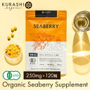 有機JAS サジー サプリ 250mg 120粒 タブレット サジー サプリメント 錠剤 鉄分 送料無料 沙棘 ダイエット 美容 サプリメント ビタミン サプリ...