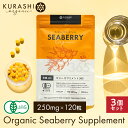 有機JAS サジー サプリ 250mg 120粒 3個セット タブレット サジー サプリメント 錠剤 鉄分 送料無料 沙棘 ダイエット 美容 サプリメント ビタ...