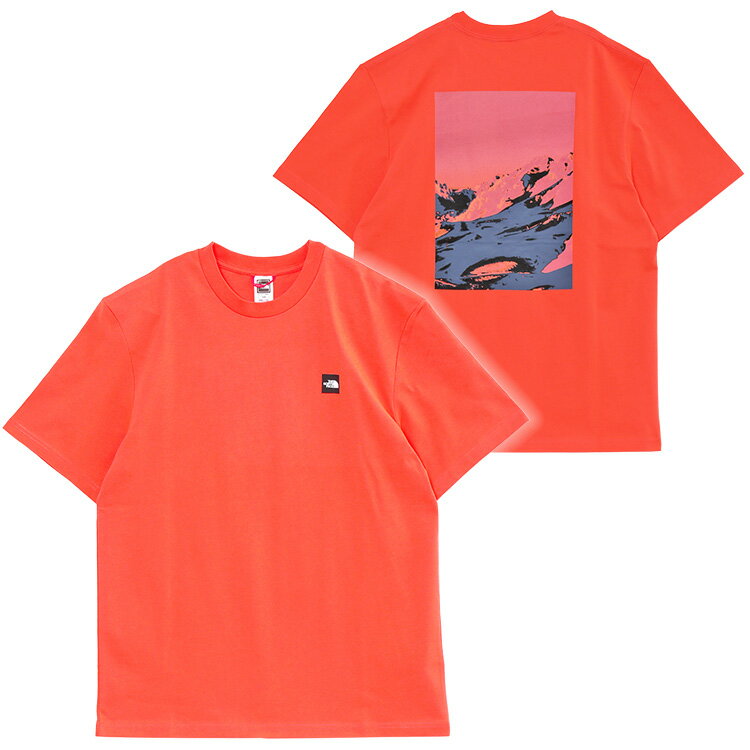 ザノースフェイス THE NORTH FACE Tシャツ バックプリント EUモデル レトロオレンジ NF0A83HR M GRAPHIC T-SHIRT 3-EU-LV3_RETRO_ORANGE【新作】