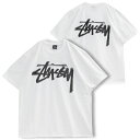 ステューシー ペアTシャツ ステューシー STUSSY Tシャツ DIZZY STOCK TEE 1904932-WHITE【新作】