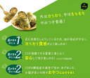 ビビゴ　海苔巻き 春雨＆野菜　天ぷら　1.1kg 3