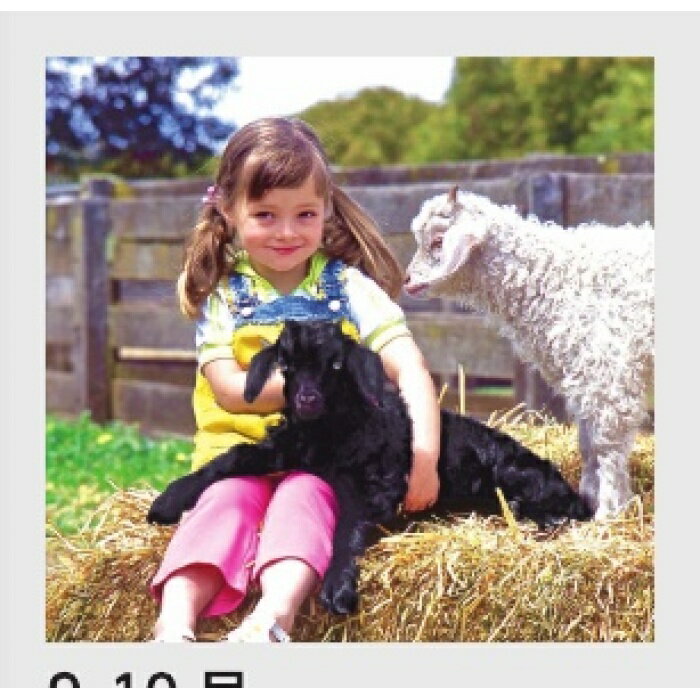 2026ǯ�������� �ɳݤ� �����λҶ�