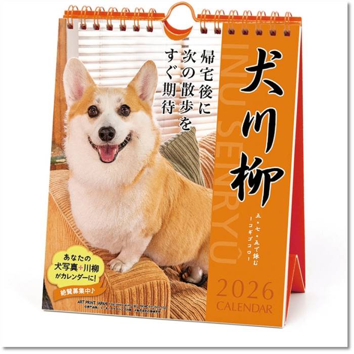 2026年カレンダー 動物 コーギー川柳 週めくり 卓上/壁掛 壁掛け 2025年9月20日発売
