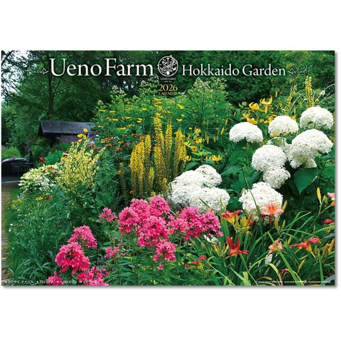 2026年カレンダー アート 上野ファーム 北海道ガーデン 壁掛け 2025年9月20日発売