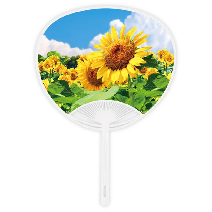 ポリ　ひまわり（10本単位）※取寄商品（納期要確認）