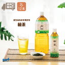 送料無料 緑茶 お茶 ペットボトル 茶ゆり緑茶 サーフビバレッジ 2l 12本 2ケースで送料無料 日本茶 ペットボトル2l 2.0L 12 24 24本 ペットボトルお茶 ペットボトル緑茶 まとめ買い 送料 国産 工場直送 安心 無糖 鹿児島 山梨 食事 カテキン カテキン緑茶 茶葉
