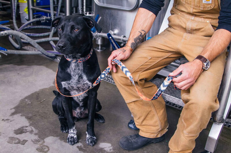 【正規輸入品】Leeds Dog Supply 犬用首輪 COLLAR｜おしゃれ かわいい 丈夫 洗える 中型犬 小型犬 大型犬用 南カリフォルニア製 ネコポス発送 送料無料 即納可