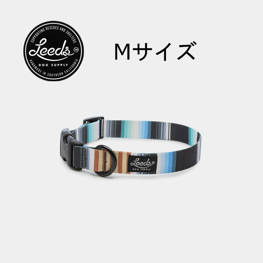 犬用首輪 Mサイズ リーズ JETTY ドッグサプライ/Leeds Dog Supply Collar Medium【クリックポスト発送（ポスト投函）】送料無料 即納