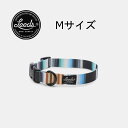 犬用首輪 Mサイズ リーズ JETTY ドッグサプライ/Leeds Dog Supply Collar Medium送料無料 即納